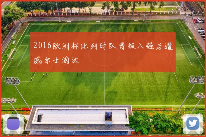 2016欧洲杯比利时队晋级八强后遭威尔士淘汰