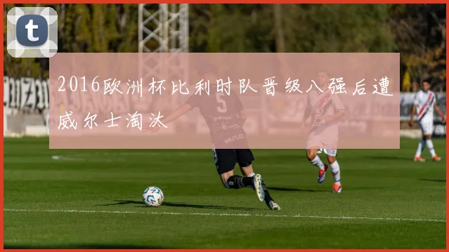 2016欧洲杯比利时队晋级八强后遭威尔士淘汰