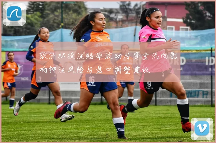 欧洲杯投注赔率波动与资金流向影响押注风险与盘口调整建议
